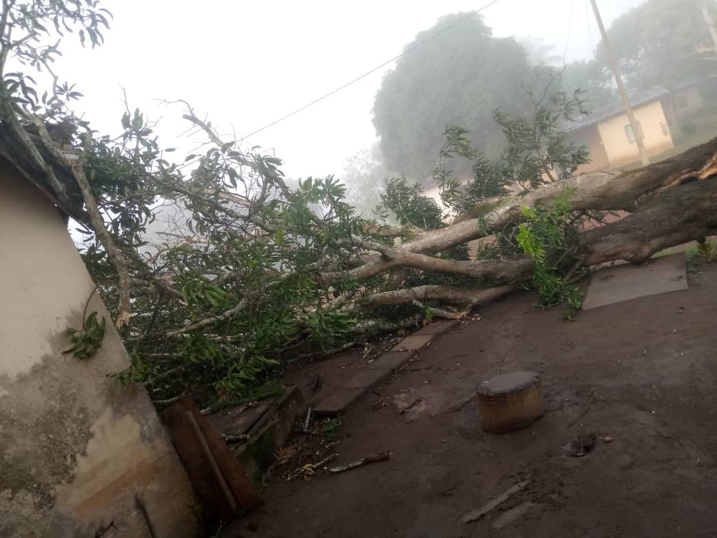 Mounana : un orage fait des dégâts à la cité 5 000