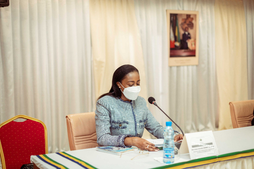 Sénat : Antonela Ndembet-Damas plaide pour la réforme du CSM