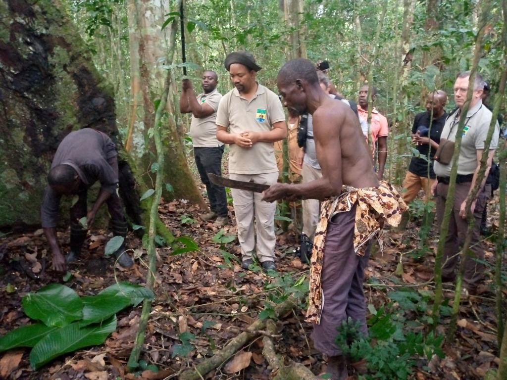 Forêts communautaires : améliorer la qualité de vie des populations