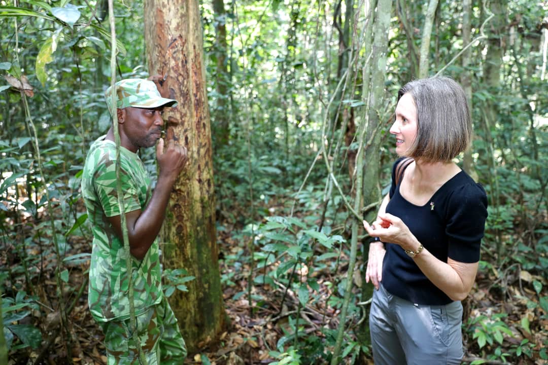 Environnement : Sarah Padula à la découverte de l’Arboretum Raponda Walter Environnement : Sarah Padula à la découverte de l’Arboretum Raponda Walter