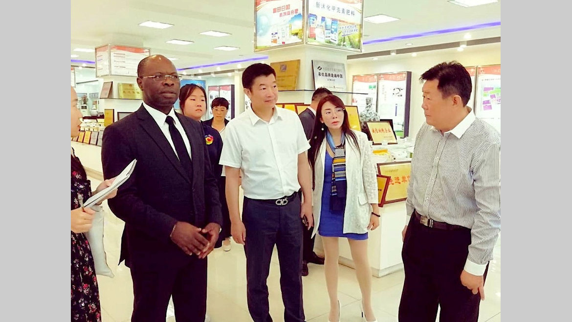 Agriculture : Le géant chinois Jinyimeng Group prêt à investir dans le manioc