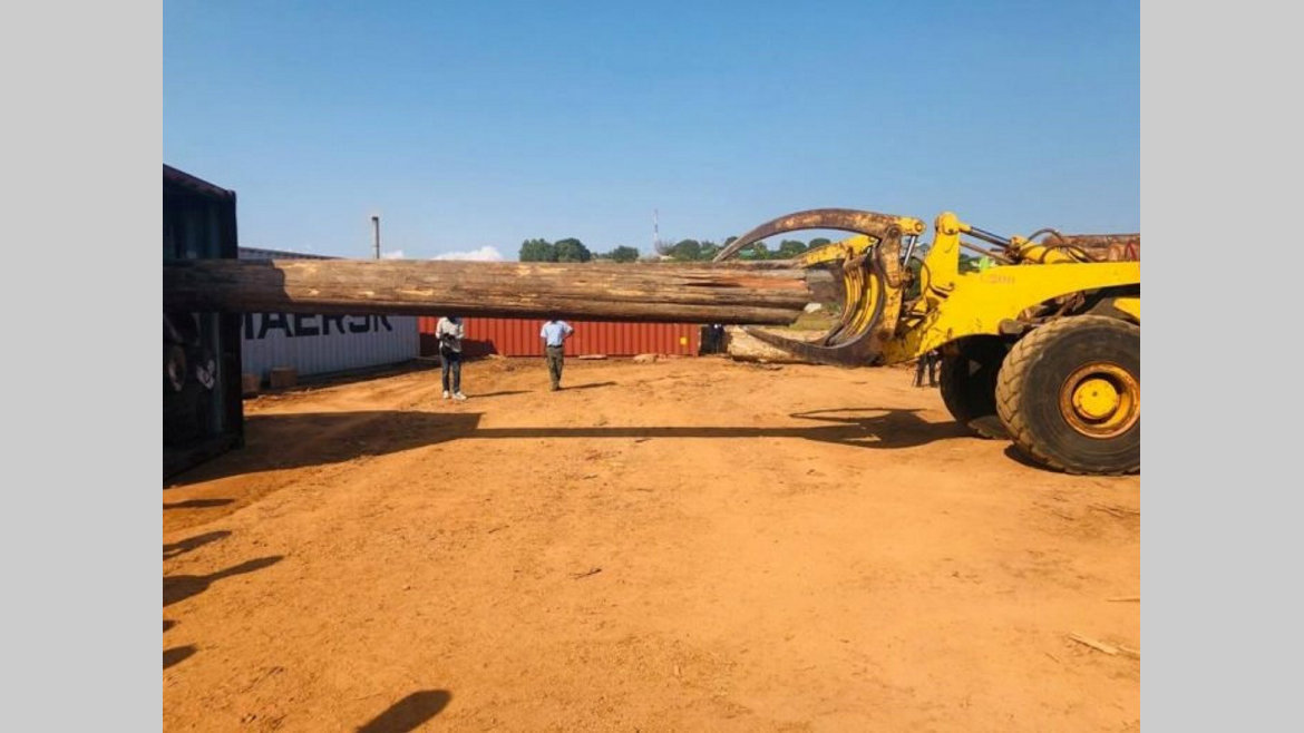 Secteur bois : Le Gabon importe du teck