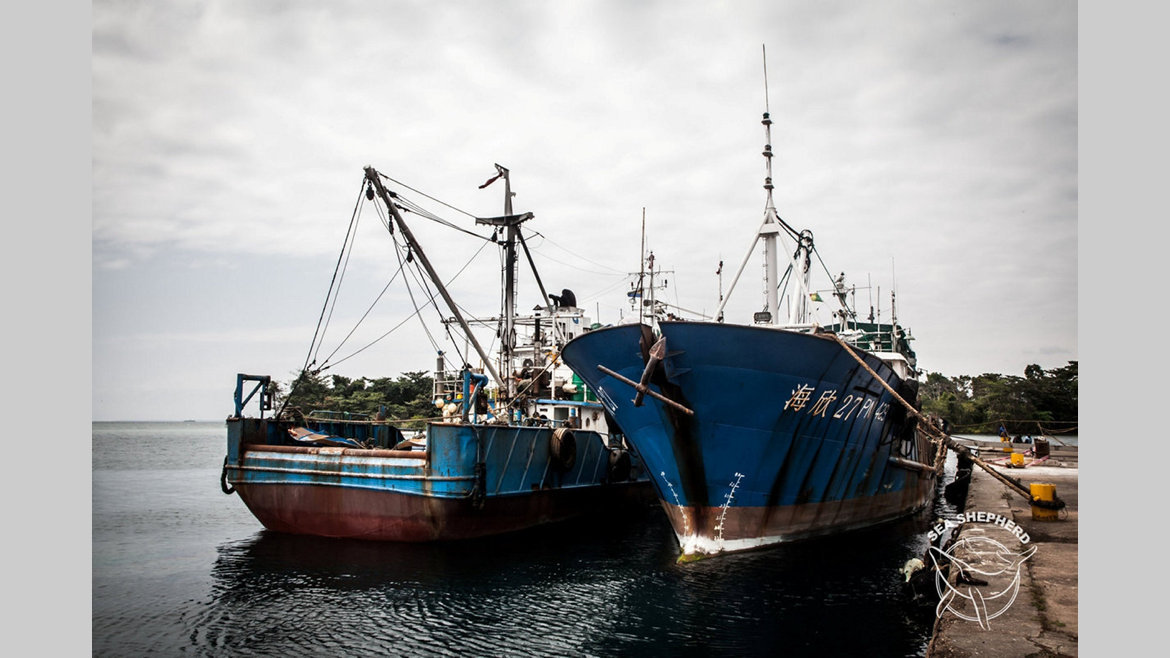 Pêche illégale dans les aires protégées : Un chalutier arraisonné pour braconnage