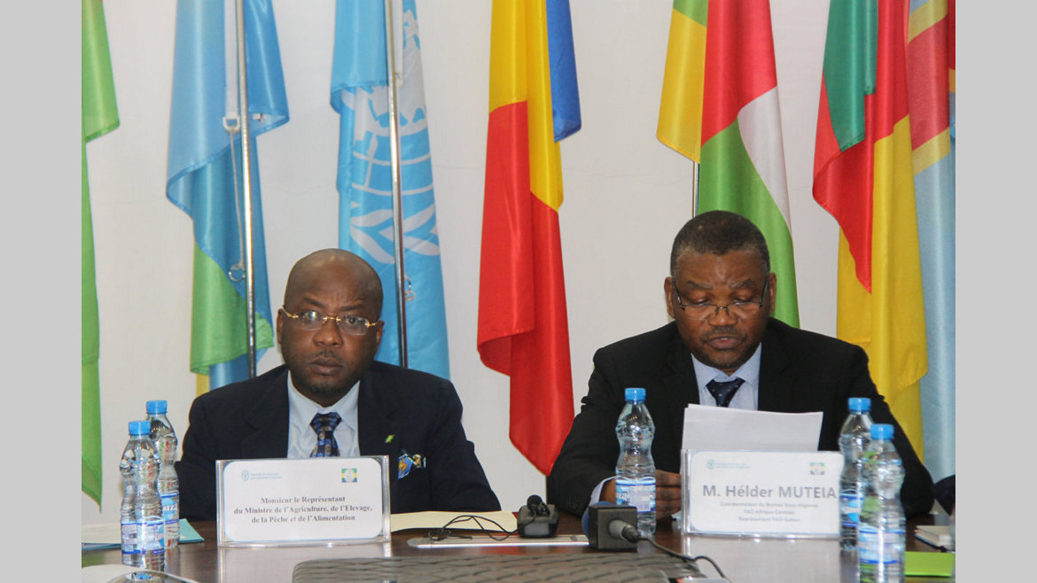 FAO : Accroître les synergies entre acteurs