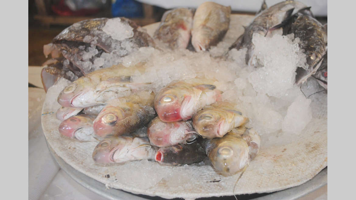 he06h:Poisson/Formol : L'Agasa dément formellement