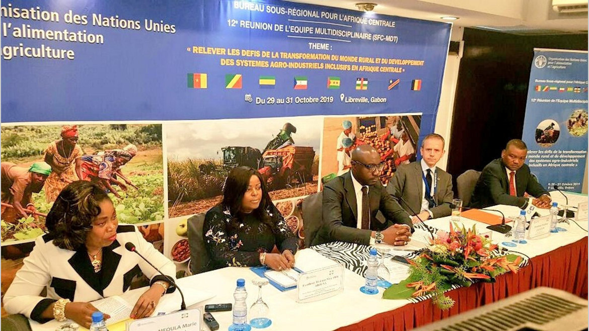 Afrique centrale : Comment doper la production agricole ?
