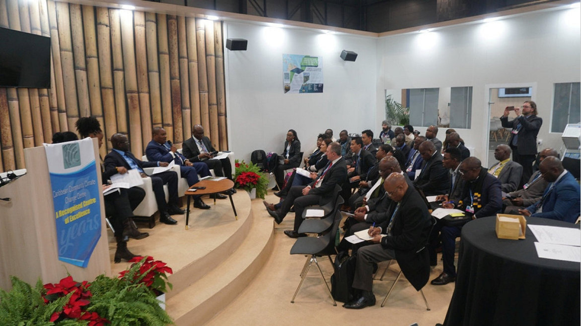 COP25 : Lee White actif au segment ministériel