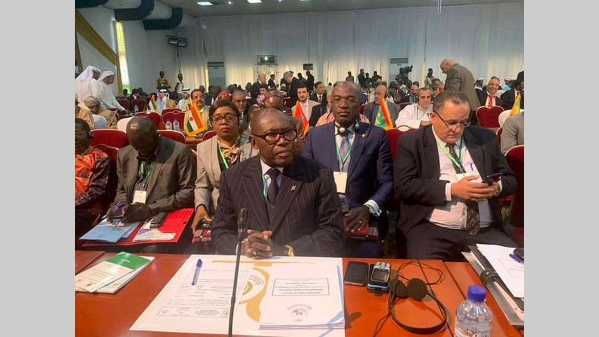 UPCI : Le Gabon porté au comité " Affaires politiques et des relations extérieures"
