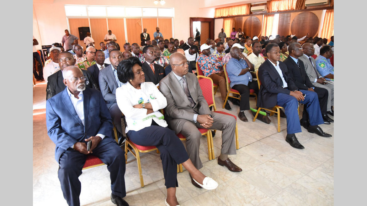 Covid-19 : les propositions de l'Union nationale
