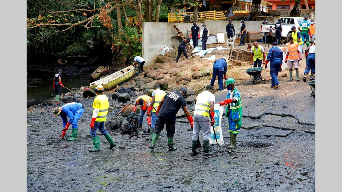 Environnement : le bel exemple de Yannick Ongonwou Sonnet