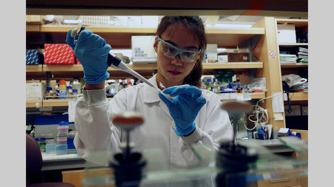 Recherche médicale : une molécule vient, in vitro, à bout du coronavirus