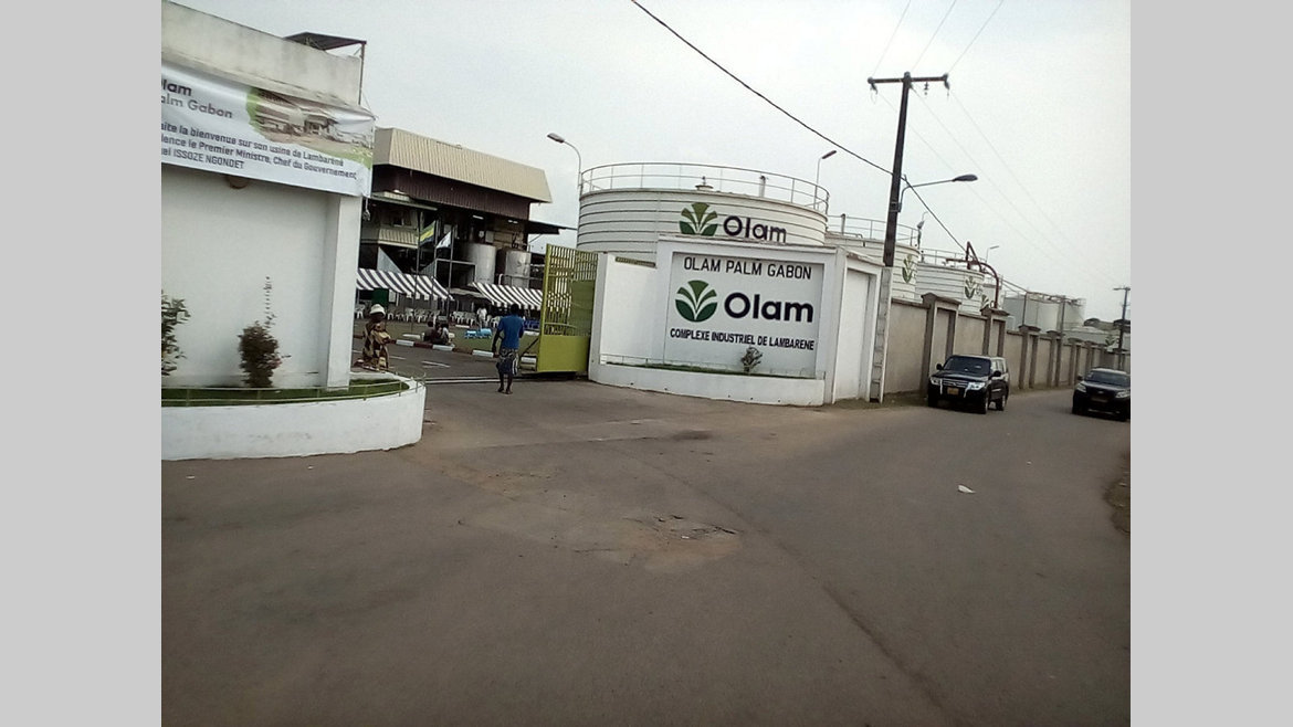 Olam Palm : autorisé à produire du biocarburant