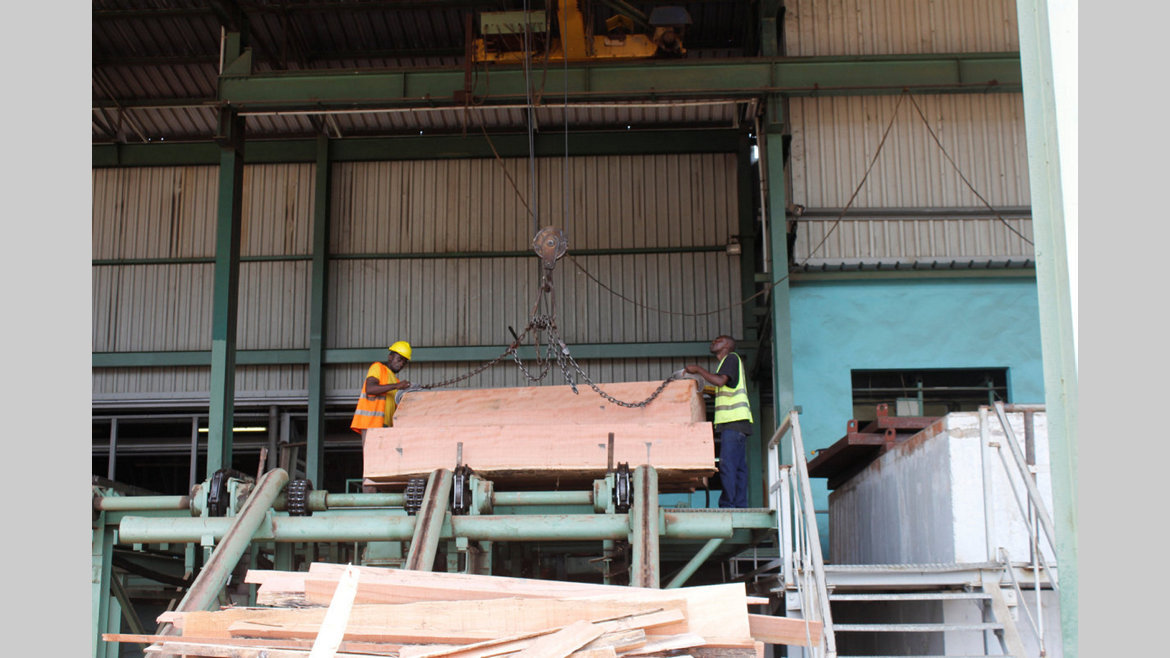 Bois : les industries en recul
