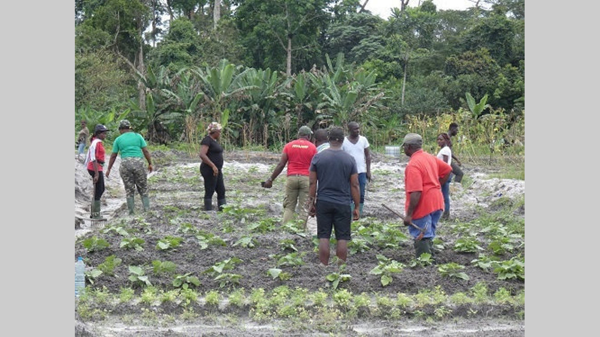 Agriculture : IDRC Africa forme des jeunes de la JCI