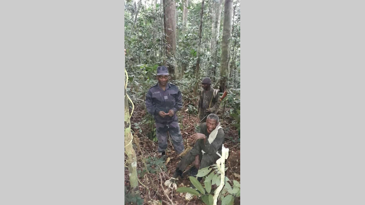 Oyem : perdu en forêt pendant 4 jours, il est retrouvé vivant