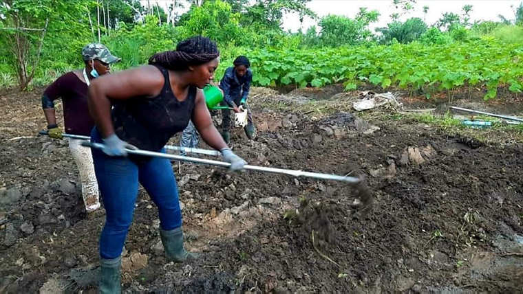 Agriculture : Le paysannat agricole relève des goulots pérennes