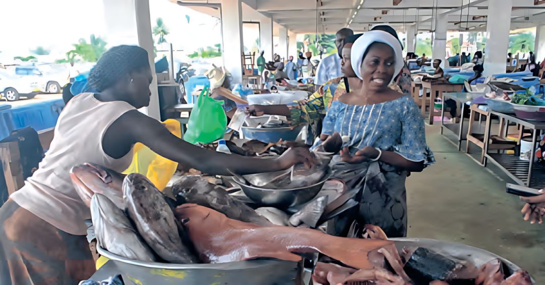 Des vendeuses de poisson dans un marché de Libreville © D.R Pêche : Réouverture des activités après plusieurs mois