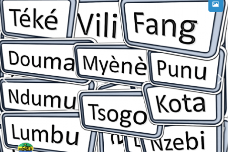 Langues maternelles : Omanda milite pour la survie de ''nos langues''