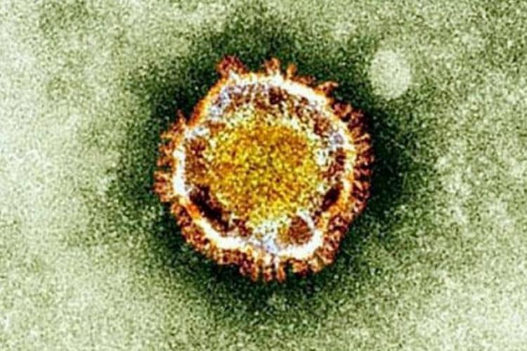 Covid-19 : l'immunité acquise après une infection